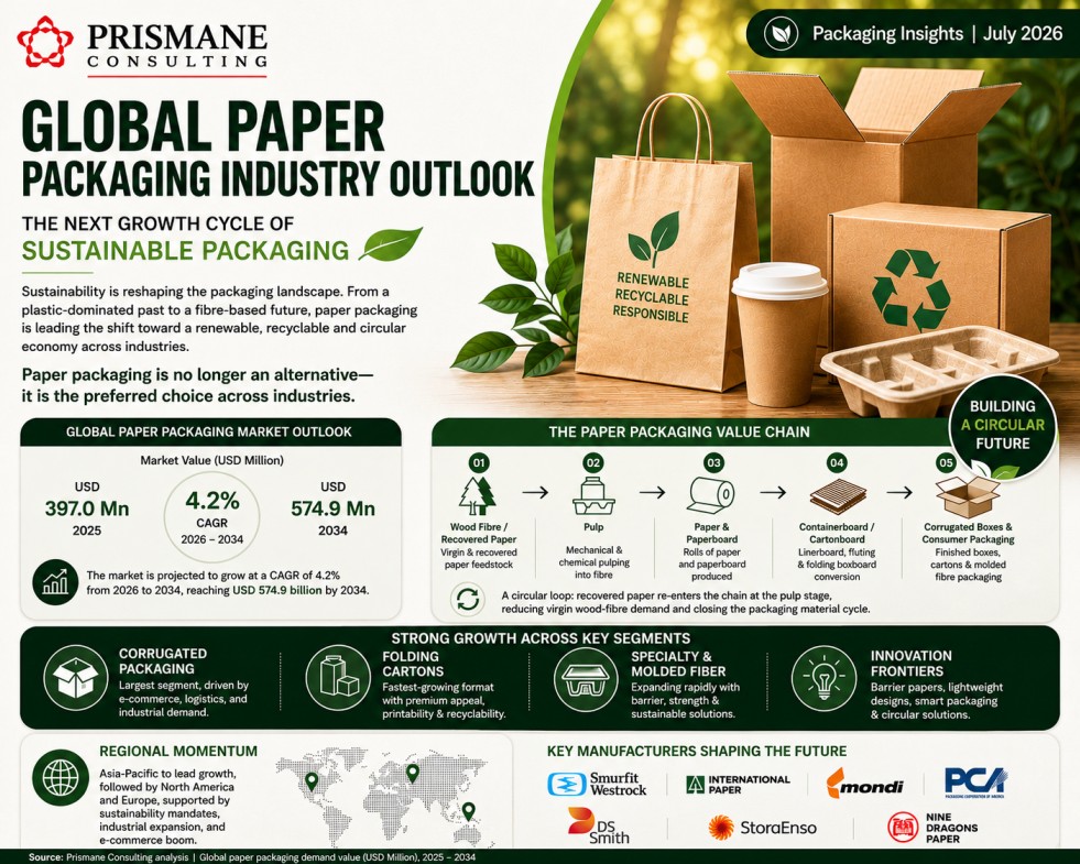 Global Paper Packaging Industry Outlook: Where the Next Growth Cycle Comes From